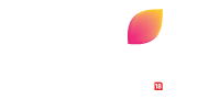 Colors