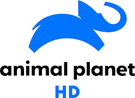 RUS: Animal Family HD