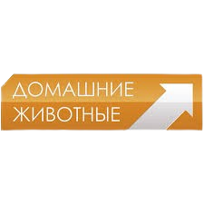 Rus: Domashnie Zhivotnye