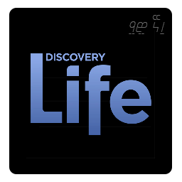 Discovery Life