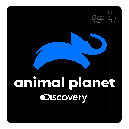 Discovery Animal Planet