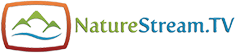 NatureStream.tv
