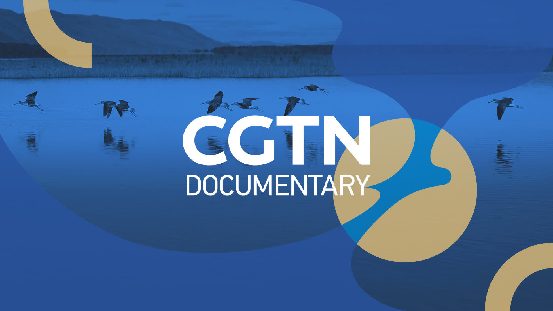 CGTN Documentary