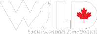 Wild TV