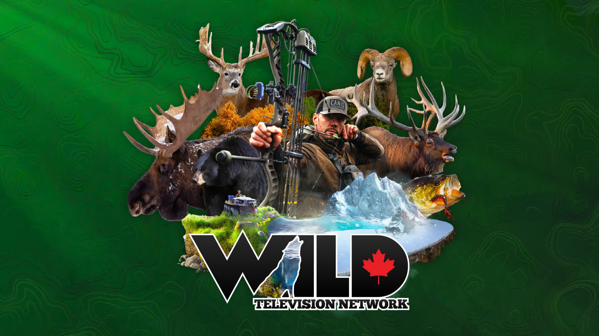 Wild TV