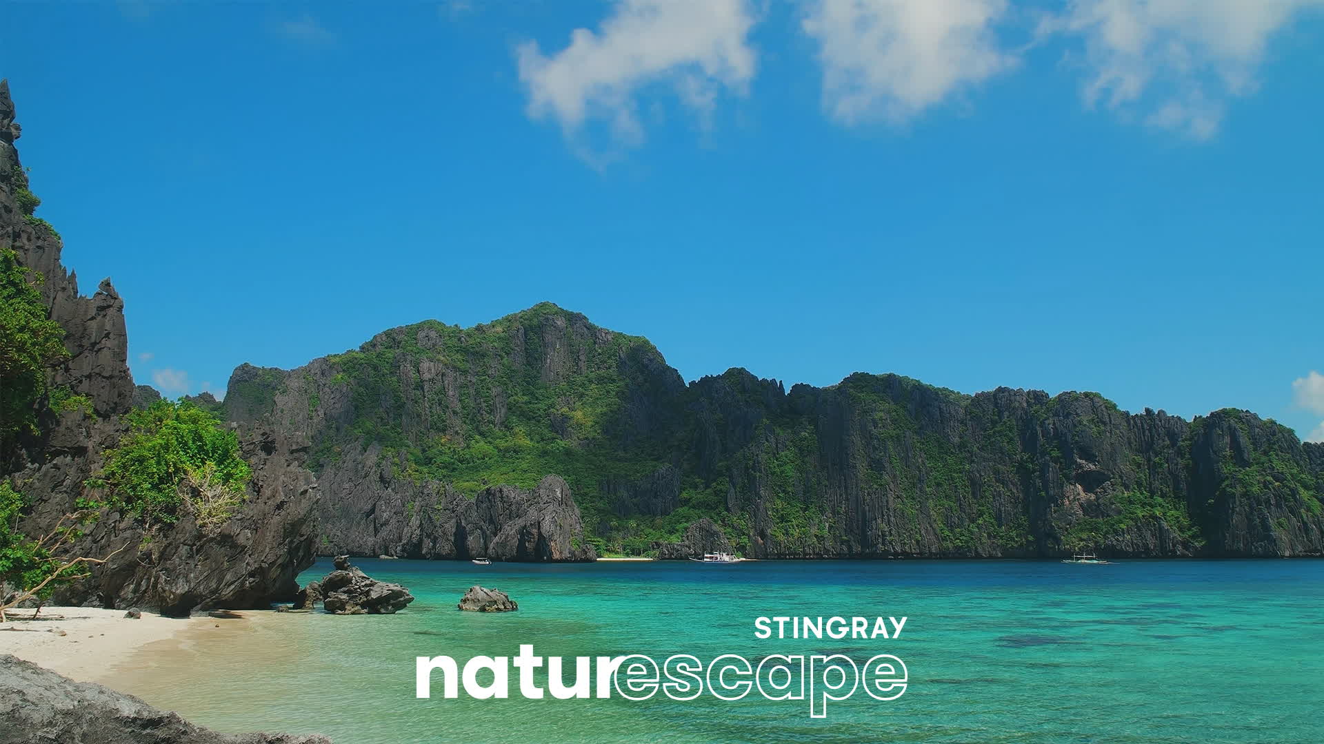 Stingray Naturescape