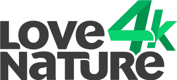 Love Nature 4K