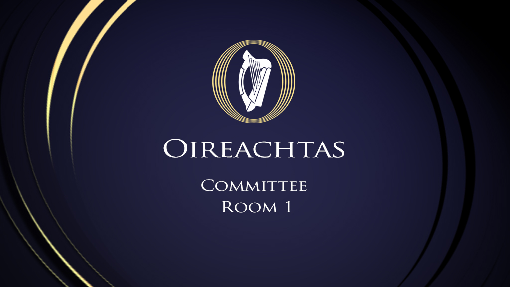 Oireachtas TV Committee Room 1 (720p)