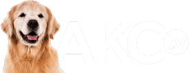 AKC TV (1080p)