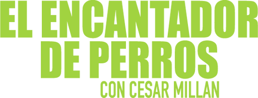 Pluto TV El Encantador de Perros (720p)