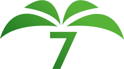 Elche 7 TV (576p)