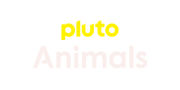 Pluto TV Animals