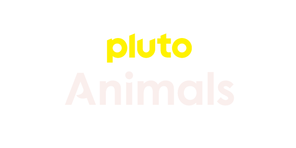 Pluto TV Animals
