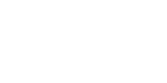 News 12 New York