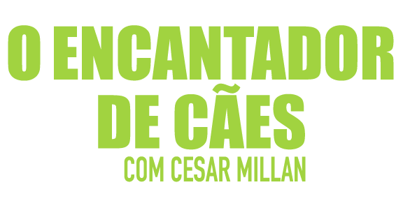 O Encantador de Cães