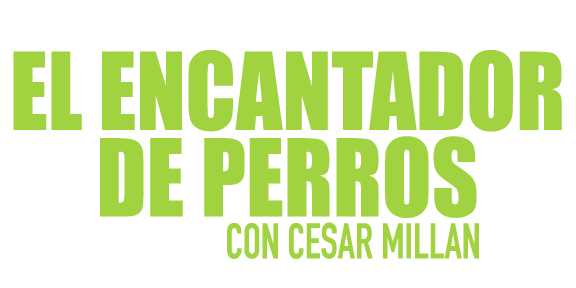 El Encantador de Perros