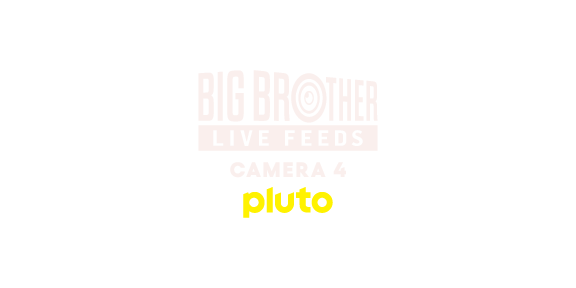Big Brother Camera 4