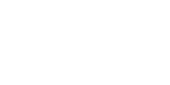 Car Chase