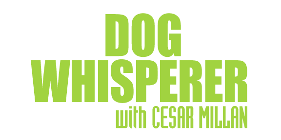 The Dog Whisperer with Caesar Millan