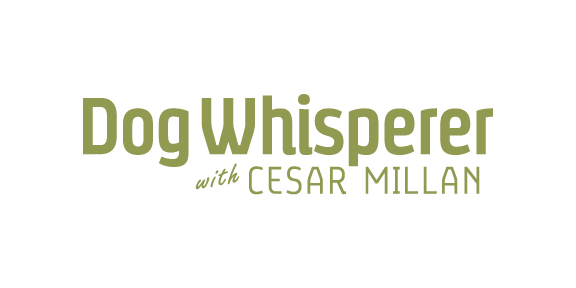 Dog Whisperer with Cesar Millan