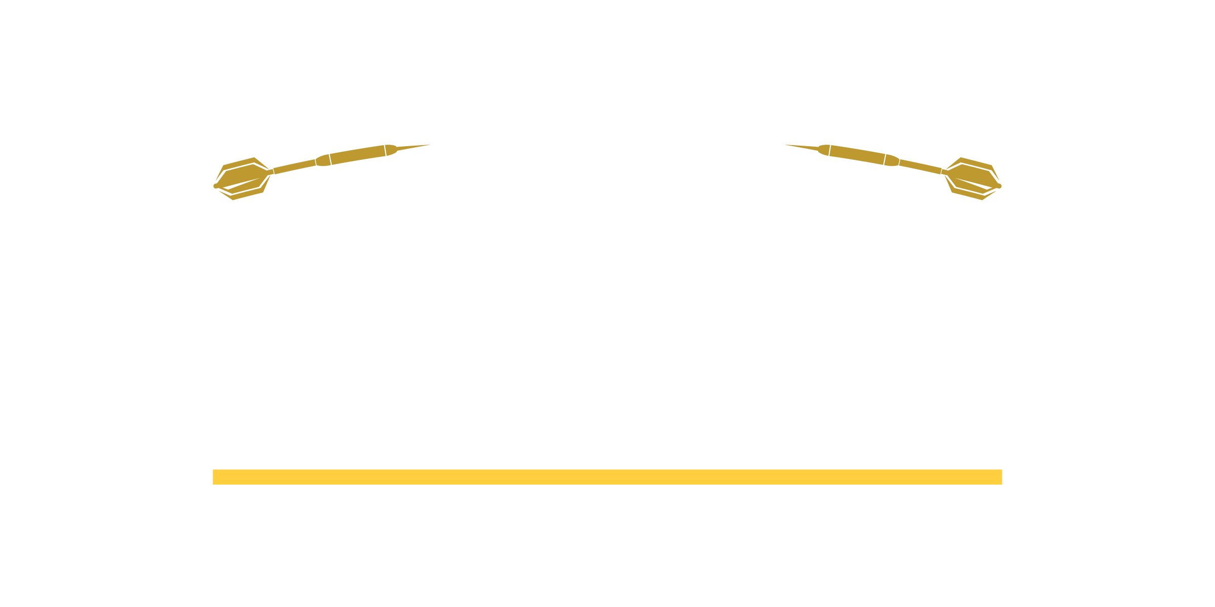 MODUS Super Series Darts