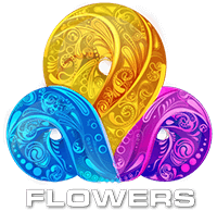 Flowers TV USA