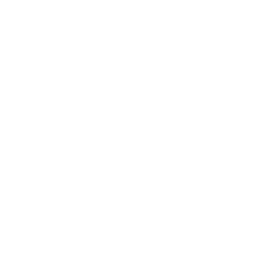 Rock Action HD